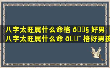 八字太旺属什么命格 🐧 好男「八字太旺属什么命 🐯 格好男孩」